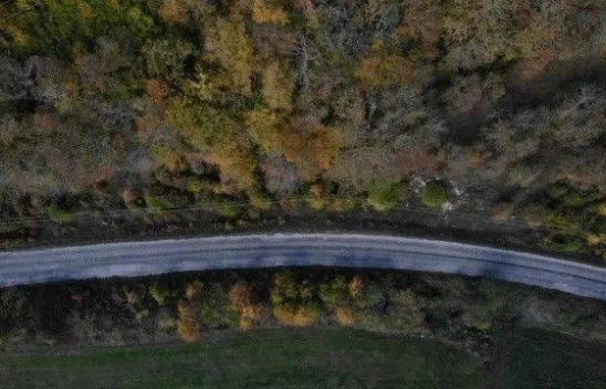 Istranca ormanlarında sonbahar güzelliği