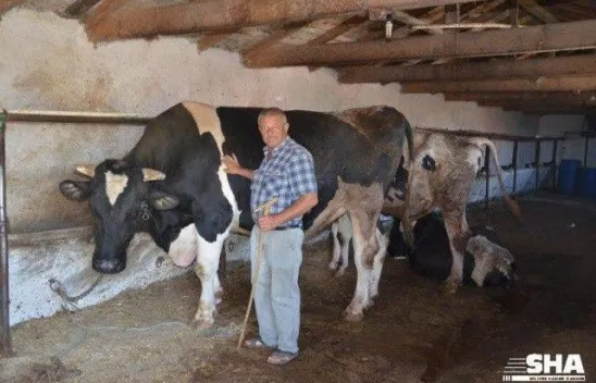 Kurbanlıkta 40 yıllık tecrübe 'Aktaş Çiftliği'