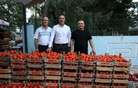 Değirmenköy'de domatesler yarıştı