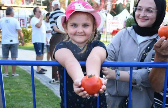 En güzel domatesler yarıştı