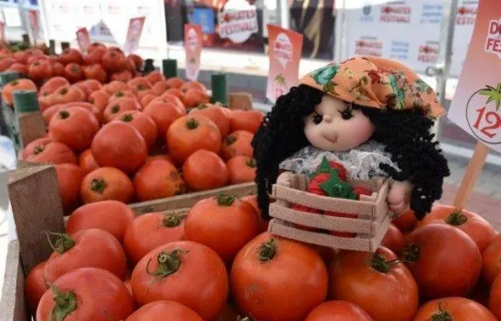34 yıldır sürdürülen gelenek Domates Festivali