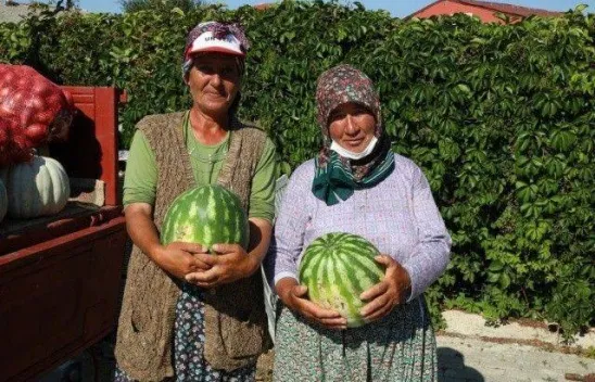 Silivri Kadıköy'de En İyi Karpuz Üreticileri Yarıştı