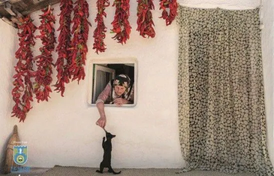 Foto Safari 2020 sonuçlandı