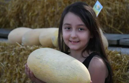 Selimpaşa'da kavun ve bamya festivali coşkusu