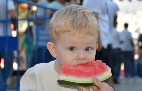Silivri'nin en güzel karpuzu belli oldu