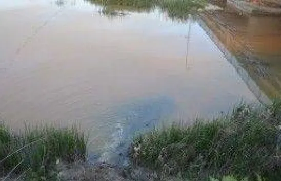 Siyasi Parti ve STK'lardan Alternatif Çelenk Sunma Töreni