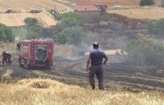 Fener'de tarla yangını
