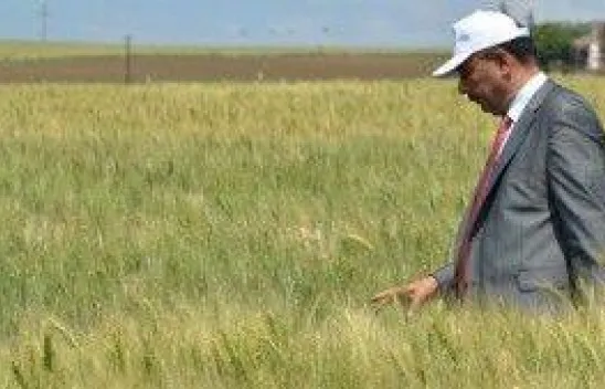 Av yasağı kalktı, balıkçılar bayram etti