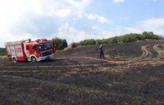 30 Dönümlük ekili alan kül oldu