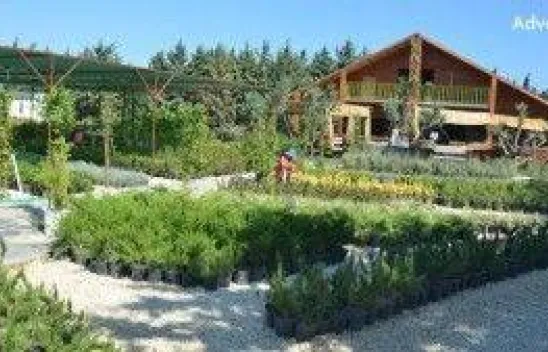 Silivri'de saklı kalmış bir yer 'Masalköy'