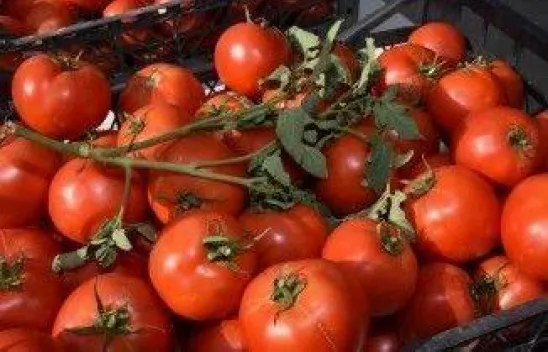 Sert'ten İlk Ziyaret Keser'e