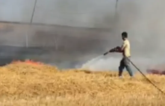 40 dönüm biçilmiş buğday kül oldu