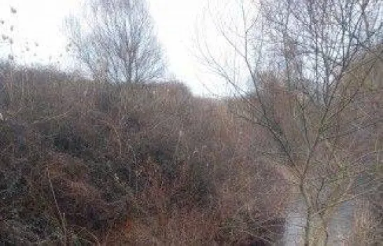 Yapılan ihbar ekipleri teyakkuza geçirdi