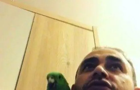 Papağan Melo sosyal medyada fenomen oldu