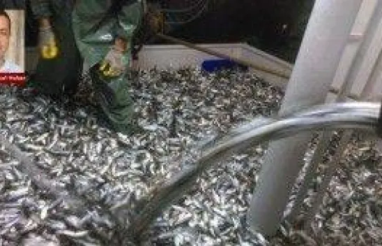 Balıkçıların heyecanına ortak olduk