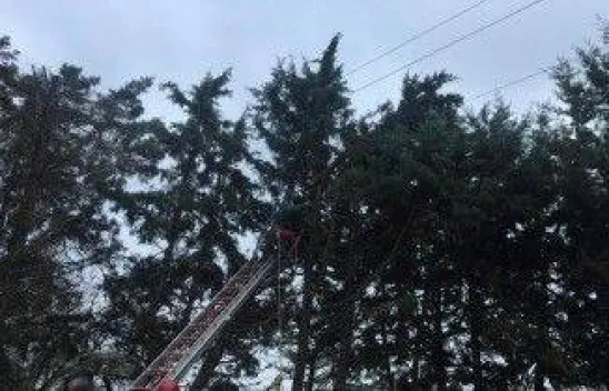 35 bin volt elektriğe çarpıldı