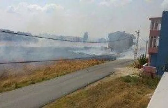 Ot Yangını vatandaşları korkuttu