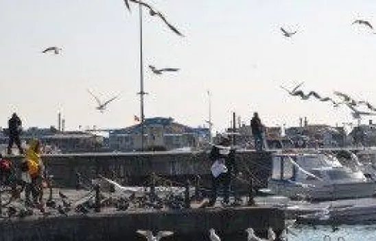 Silivri'de güneş açtı