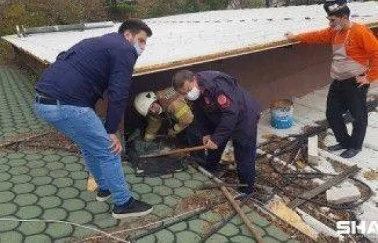 Düştüğü kanalda sıkışan kedi uzun uğraşlar sonucu kurtarıldı