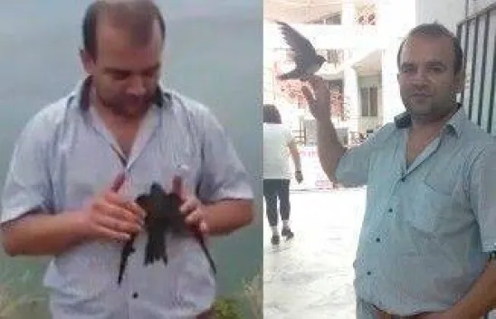 Pasaj'da Ebabil kuşu buldu