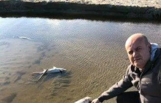 Silivri'de çevre katliamı