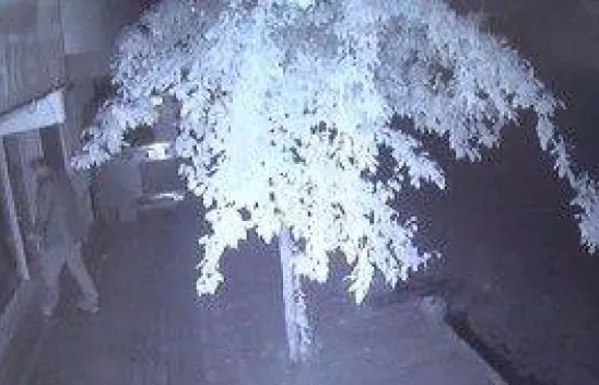 Gündüz keşif yaptı, gece soydu