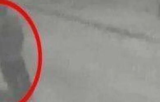 40 bin liralık telefon çalan hırsızlar kamerada