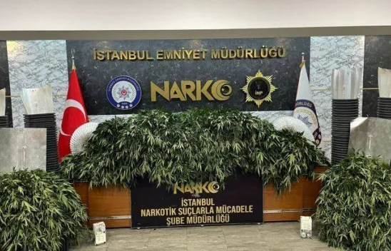 Kiralık çiftlikte 491 kök Hint keneviri ele geçirildi