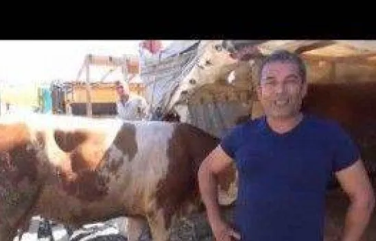 Kurban Kesim ve Satış Yeri Selimpaşa'da 