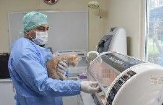 Can dostlarımıza özel yoğun bakım ünitesi