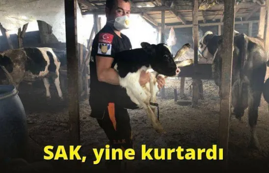SAK, yine kurtardı