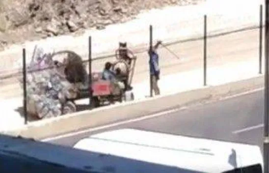 Yükü çekemeyen atı vicdansızca dövdüler!