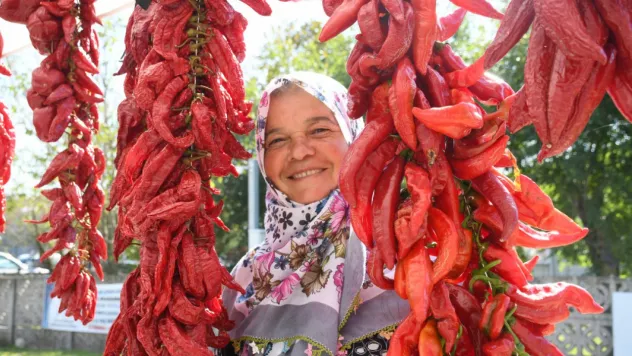 Sayalar'da hem biber hem hizmet şenliği
