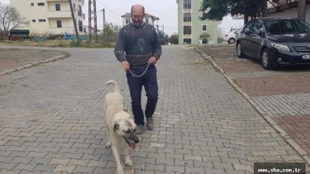 Açlıktan ölmek üzereyken kurtarılmıştı