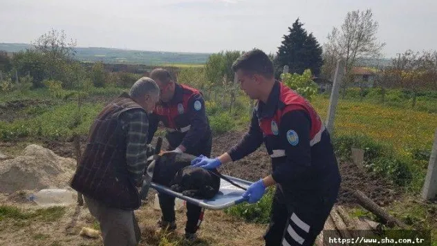 İnsanlık bugün de ölmedi!