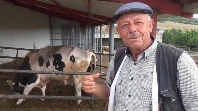 1520 kiloluk 'Bayram' alıcısını bekliyor