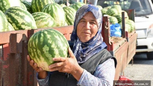 Dolu Dolu Karpuz Festivali