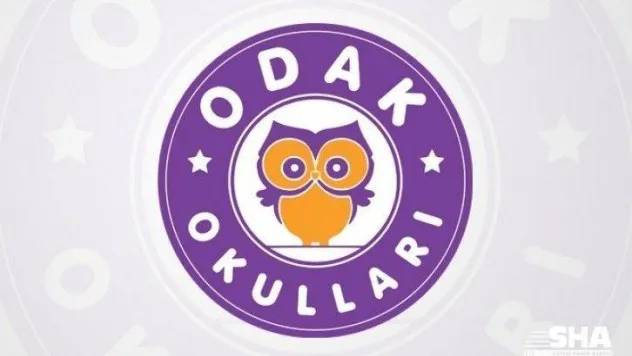 Dijitalleşmenin Yabancı Dil Eğitimindeki Etkisi