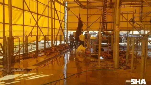 İBB kurban kesim alanında kasaplar kaçtı, vatandaş kendi kurbanını kendi kesti