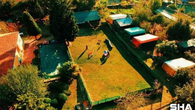 Köpekleriniz İçin Güvenilir Bir Yuva