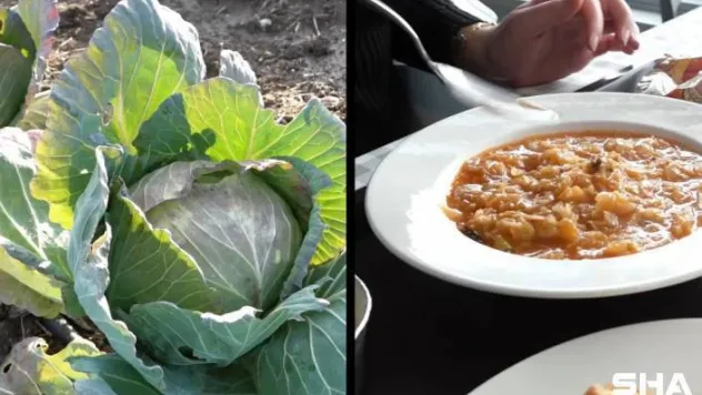 Silivri Köy Pazarından Mutfağa