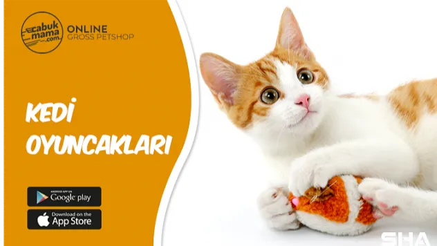 Çabuk Mama Kedi Oyuncaklarında Kalite ve Zengin Ürün Çeşitliliği Sunuyor