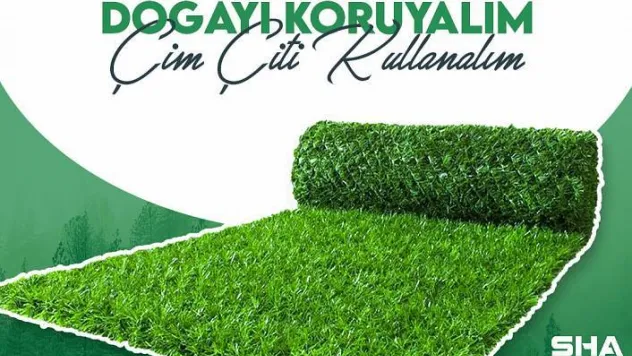 Çim Çit Nedir?