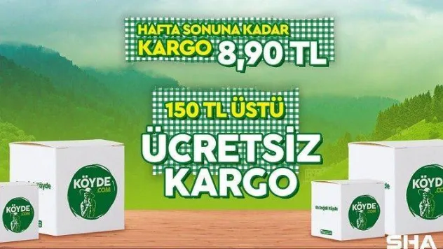 Masaj yağı için hangi yağ kullanılır