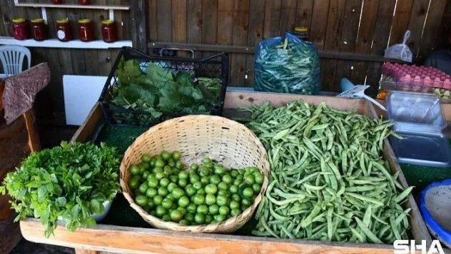 Yazlık Ürünler Silivri Köy Pazarı'nda Yerini Aldı