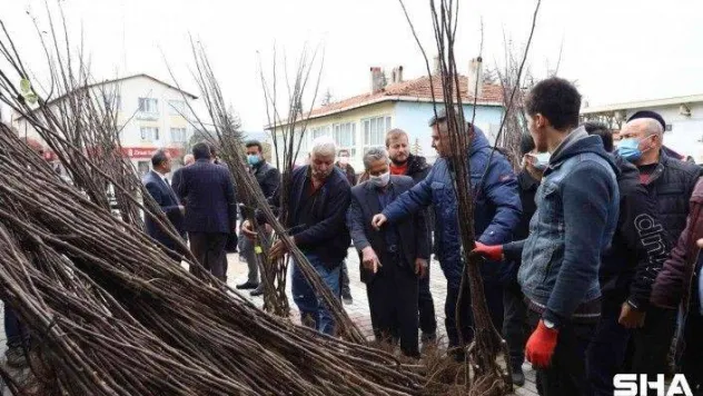 Harmancık ayva ile markalaşacak