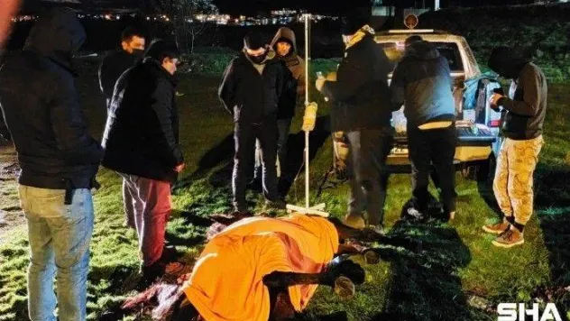Can çekişen atı ölüme terk etmeyip 'insanlık ölmemiş' dedirttiler