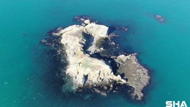 Beykoz'un gizemli adası görenleri kendisine hayran bırakıyor