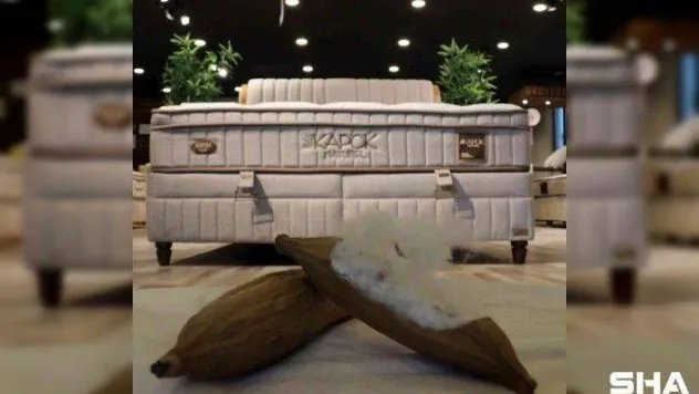 Tropik yağmur ormanlarından gelen doğallık Bambi Yatak ile buluştu