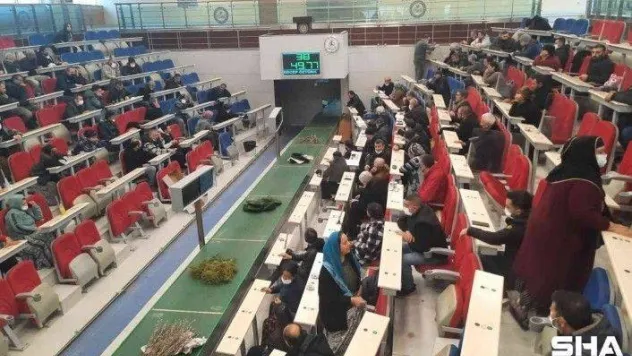 Çiçek mezatlarında 14 Şubat Sevgililer Günü yoğunluğu